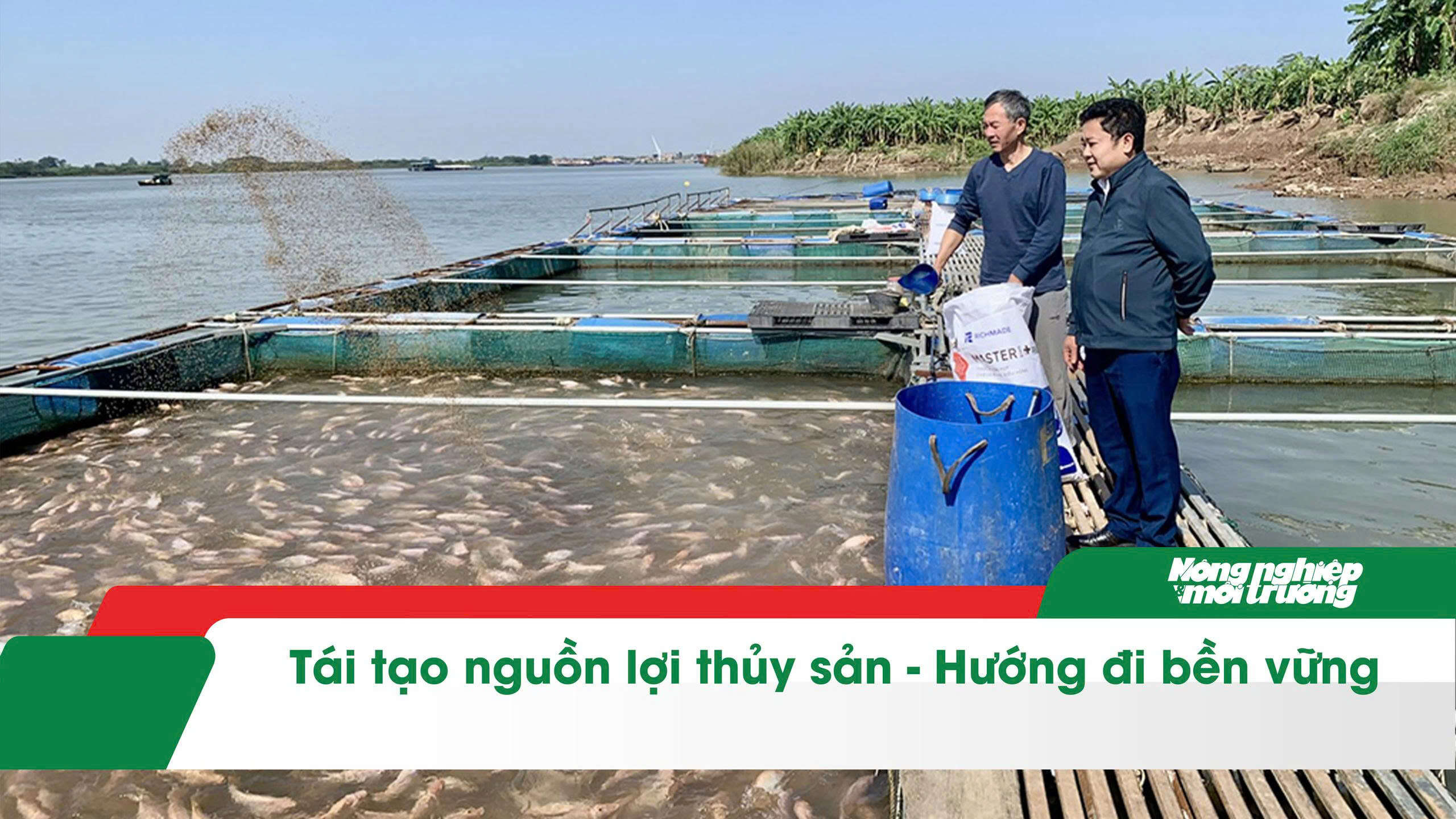 Tái tạo nguồn lợi thủy sản - Hướng đi bền vững 